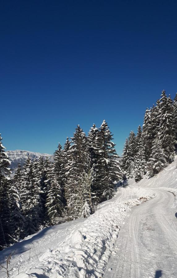 Vvf Les 7 Laux Massif De Belledonne Ξενοδοχείο Prapoutel Εξωτερικό φωτογραφία